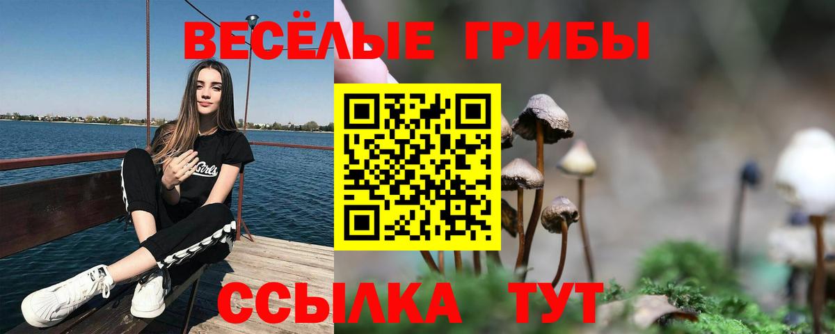 Псилоцибиновые грибы Psilocybine cubensis  Вход с VPN  Псилоцибиновые грибы ЛСД  Батайск 